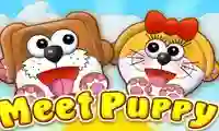 Mchezo Meet Puppy online
