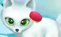 Mchezo Paws to Beauty Arctic Edition online