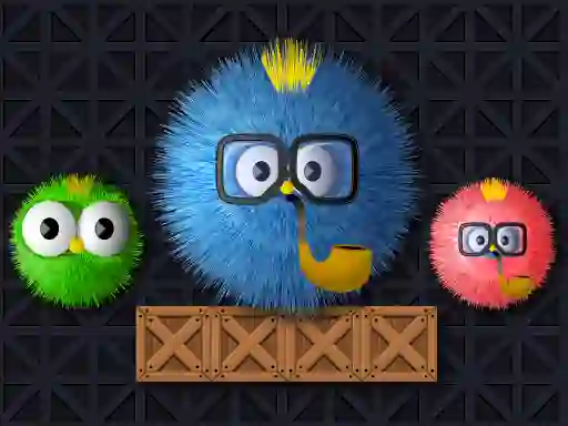 Mchezo Where Is My Ruffled Bird online