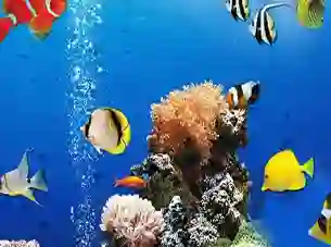Mchezo Sea Underwater Difference online