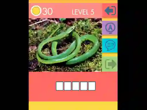 Mchezo 15 Picture Quiz online