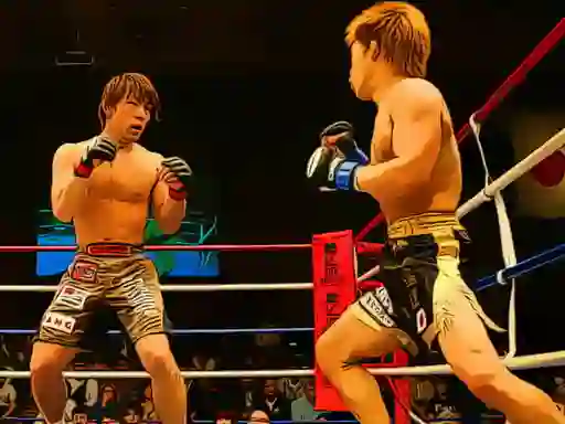 Mchezo MMA Fighters Jigsaw online