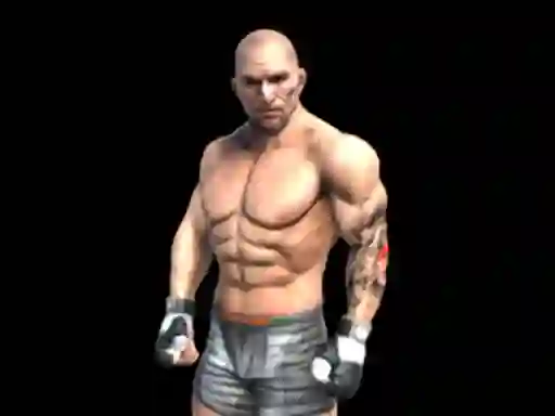 Mchezo Fight Arena Online online