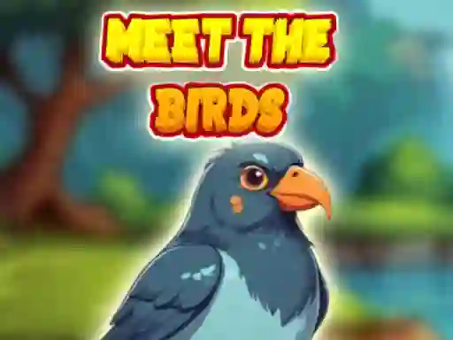 Mchezo Meet The Birds online