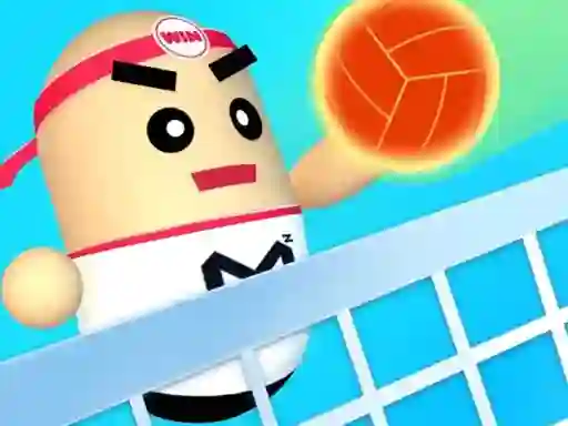 Mchezo 3D Amazing VolleyBall online