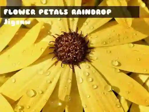 Mchezo Flower Petals Raindrop Jigsaw online