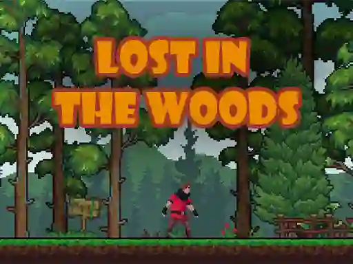 Mchezo Lost in the Woods online