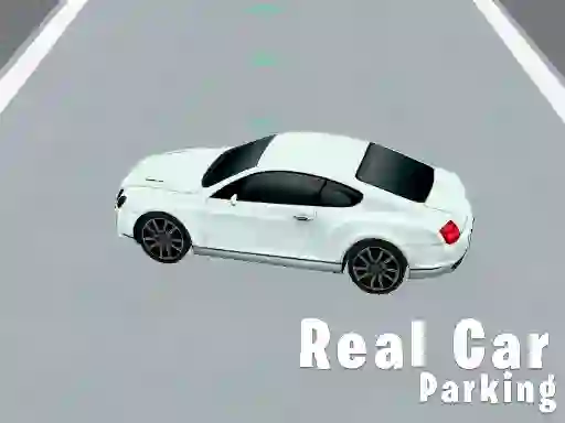 Mchezo Real Car Parking online