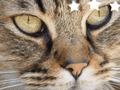 Mchezo Jigsaw Puzzle Classic online