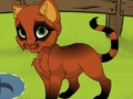 Mchezo Kitten My  online