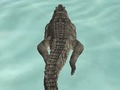 Mchezo Mto Simulator Beach kuwinda  online