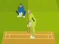 Mchezo Cricket Super  online