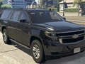 Mchezo Tofauti za Suburban za Chevrolet  online