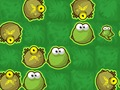 Mchezo Frog kukimbilia  online