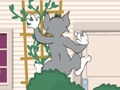 Mchezo Tom und Jerry: Wasserbomben Wahnsinn online