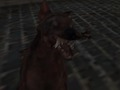 Mchezo Jeshi la Zombie la Nazi  online
