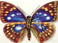 Mchezo Tofauti ya Butterflies  online