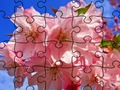 Mchezo Jigsaw Puzzle: Maua  online