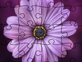 Mchezo Jigsaw puzzle majira ya joto online