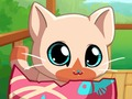 Mchezo Pets yangu Mfukoni Kitty Cat  online