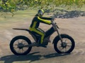 Mchezo Jaribio la motocross  online