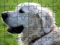 Mchezo Jigsaw Puzzle Wanyama wa Ndani  online