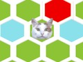 Mchezo Mtego Cat  online