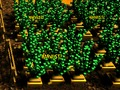 Mchezo Shamba la Pixel  online