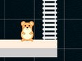 Mchezo Wakati wa Smart Hamster  online
