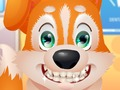 Mchezo Daktari wa meno mpya wa Puppy  online