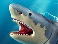 Mchezo Shark Uwindaji  online