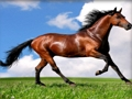 Mchezo Wanyama Jigsaw Farasi Puzzle  online