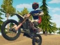 Mchezo Uchafu wa Bike Enduro Mashindano  online
