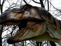 Mchezo T-Rex Dinosaur Jigsaw online