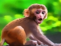 Mchezo Tumbili La Mapenzi La Mtoto  online
