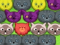 Mchezo Kitties za pop-pop  online