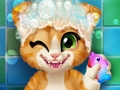 Mchezo Bafu ya Kitten yenye kutu  online