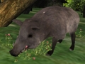Mchezo Jigsaw ya Uwindaji wa Boar  online