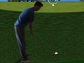 Mchezo Flash Gofu 3D  online