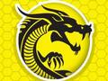 Mchezo Kung Fu Fury online