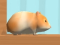 Mchezo Hamster maze mkondoni online