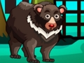 Mchezo Kutoroka kubeba online