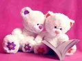 Mchezo Teddy nzuri huzaa slaidi online