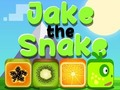 Mchezo Jake nyoka online