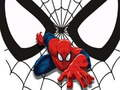 Mchezo Kadi za Mechi ya Spiderman  online