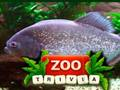 Mchezo Maelezo ya ZOO  online