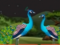 Mchezo Wanandoa Parrot Escape  online
