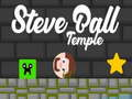 Mchezo Hekalu la Steve Ball  online