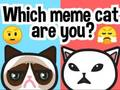 Mchezo Je, wewe ni Paka gani wa Meme?  online
