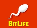 Mchezo Bitlife online